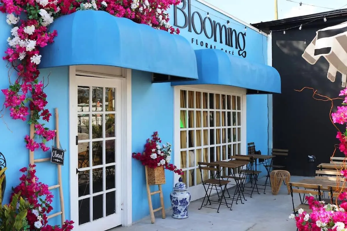 Semesterbostad Outdoor Hangout With Bbq, Firepit, Bocce Ball And More Tampa USA